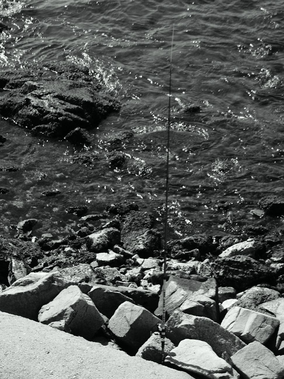 Bass lures that actually catch fish
