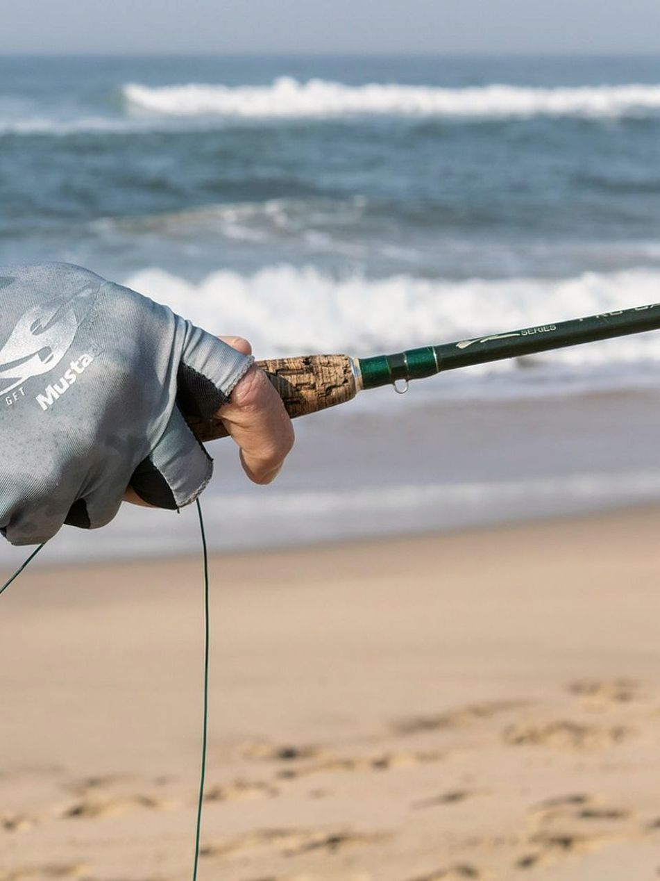 Spinning reel maintenance